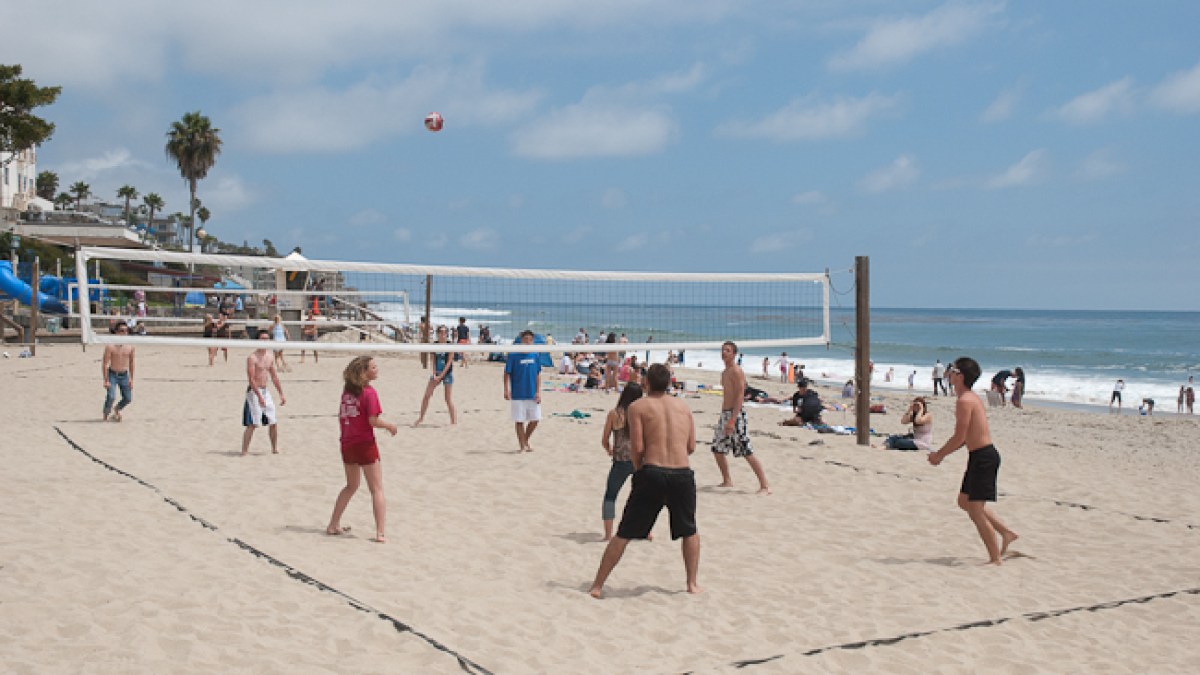 a group of people on a beach