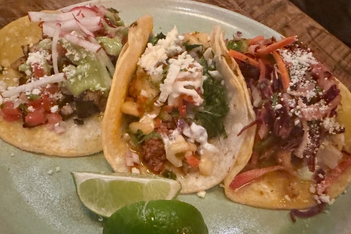 a close up of a plate of tacos