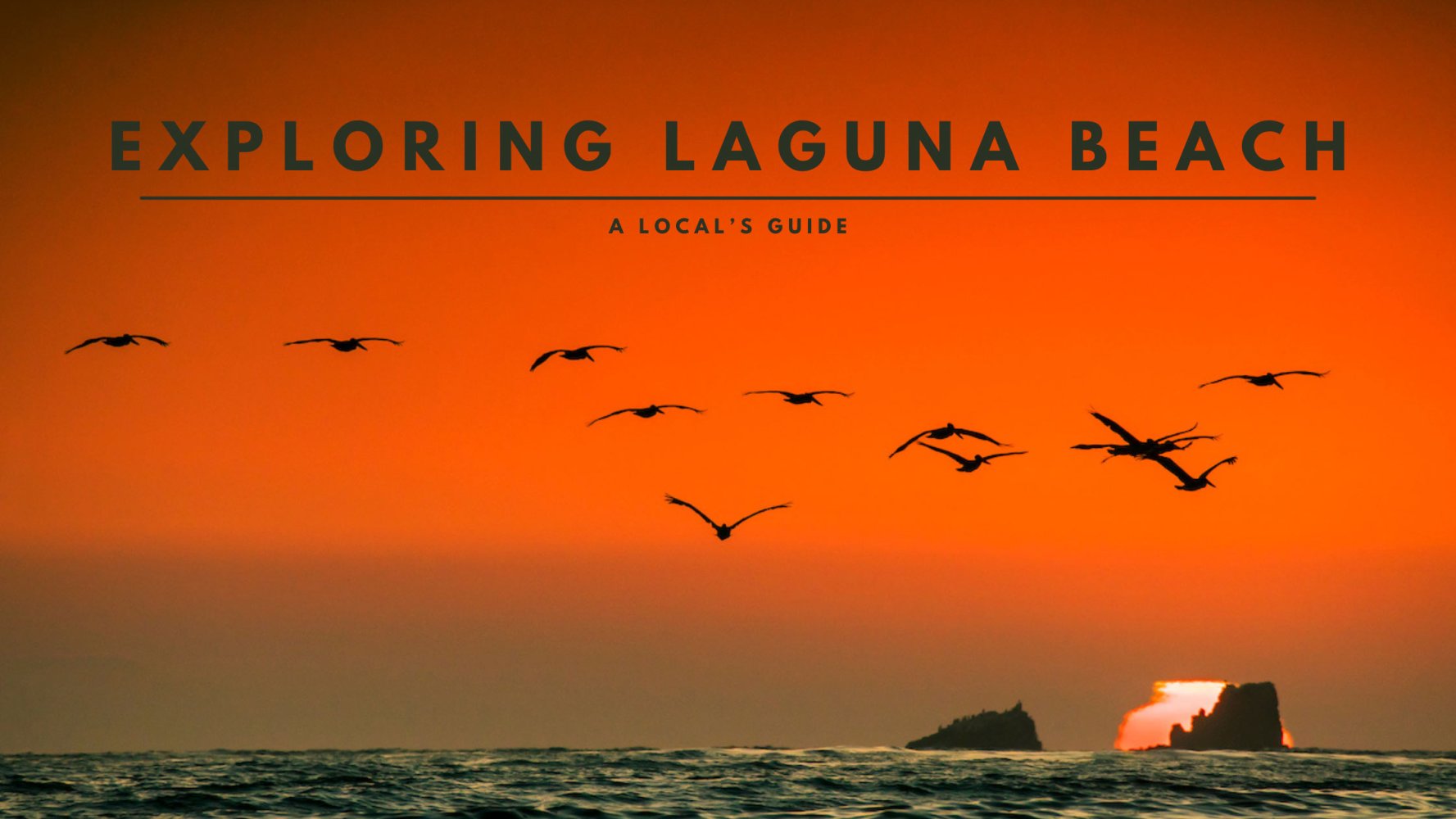 a flock of seagulls flying over a body of water. Exploring Laguna Beach A local's guide. 